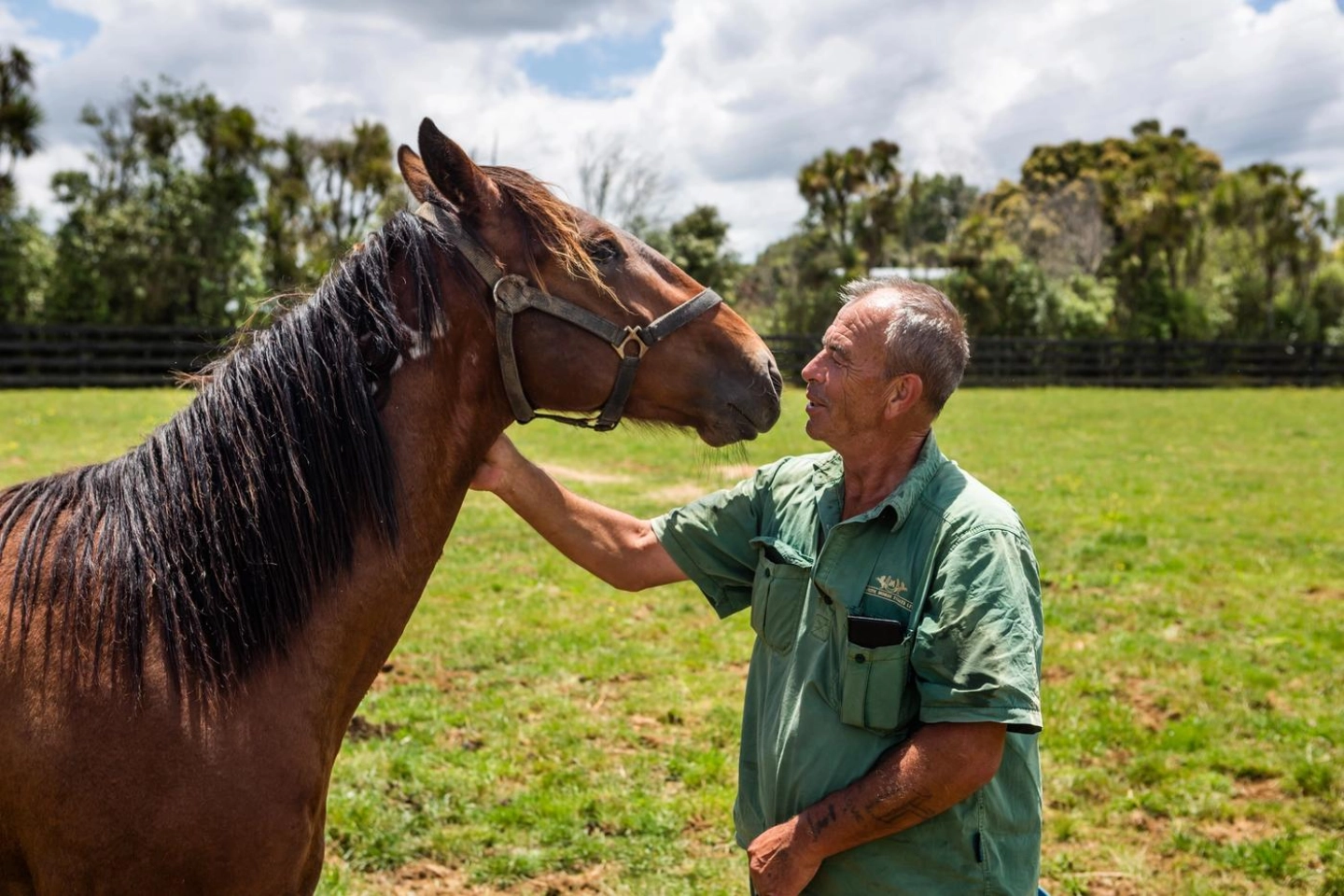 Man patting horse